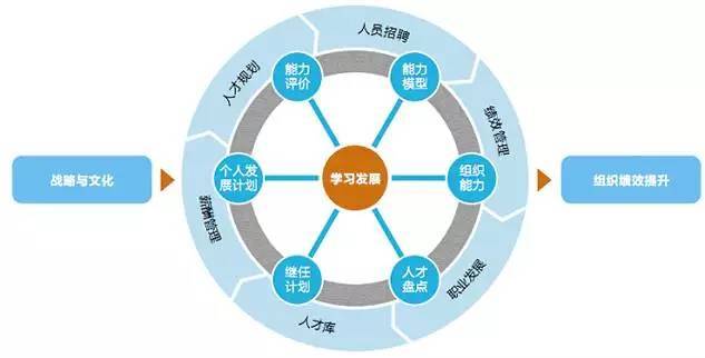 企业命脉--CBA人力资源规划系统