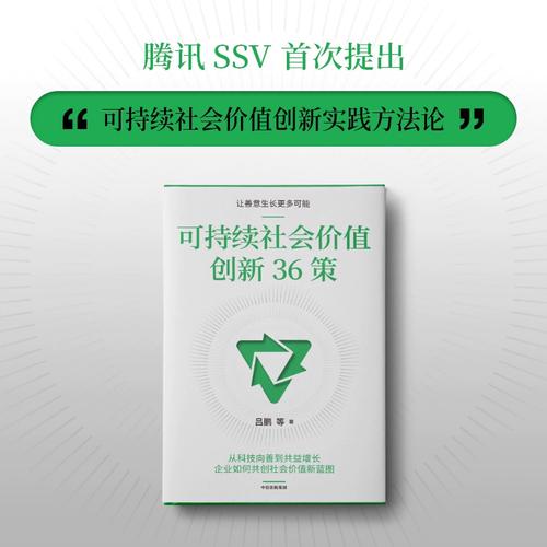 可持续社会价值创新 科技企业探索社会价值的方法论与实践路径